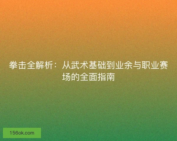 拳击全解析：从武术基础到业余与职业赛场的全面指南
