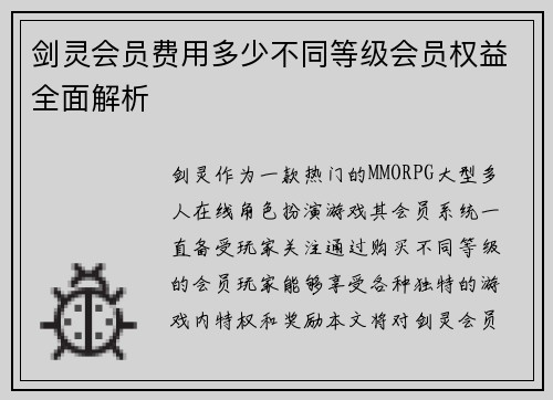 剑灵会员费用多少不同等级会员权益全面解析