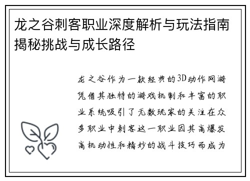 龙之谷刺客职业深度解析与玩法指南揭秘挑战与成长路径